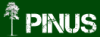 (kuva varten) Pinus